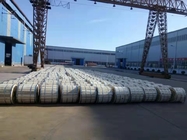 Padrão de alumínio de Galvanized Steel Reinforced ASTM do condutor de ACSR 100mm2